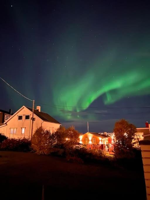 Tromso'S Best Location? City & Nature 5 Mins Away. Ngoại thất bức ảnh